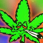 Stoned_Reader