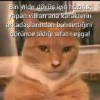Deli_kedi_eti7